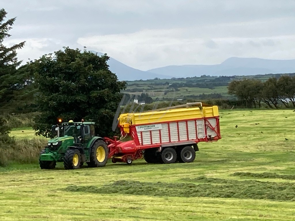 Make hay while the sun&nbsp;shines